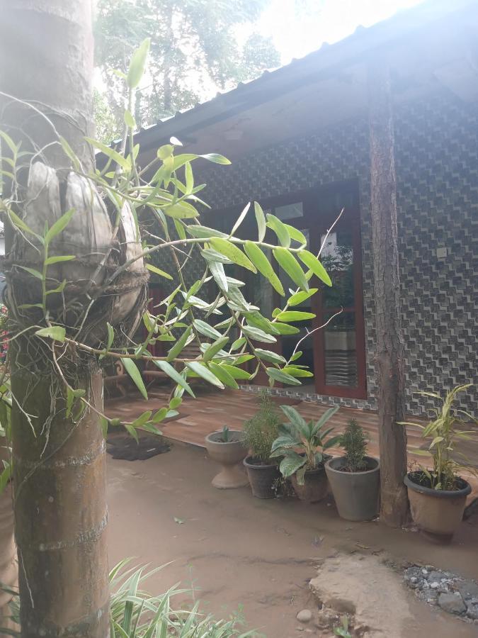 Supipi Homestay إيلا المظهر الخارجي الصورة