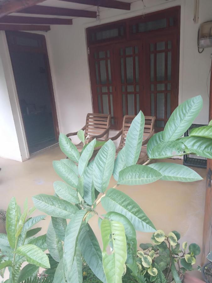 Supipi Homestay إيلا المظهر الخارجي الصورة