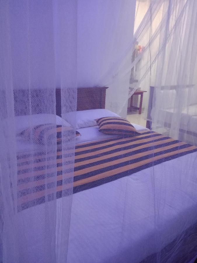 Supipi Homestay إيلا المظهر الخارجي الصورة