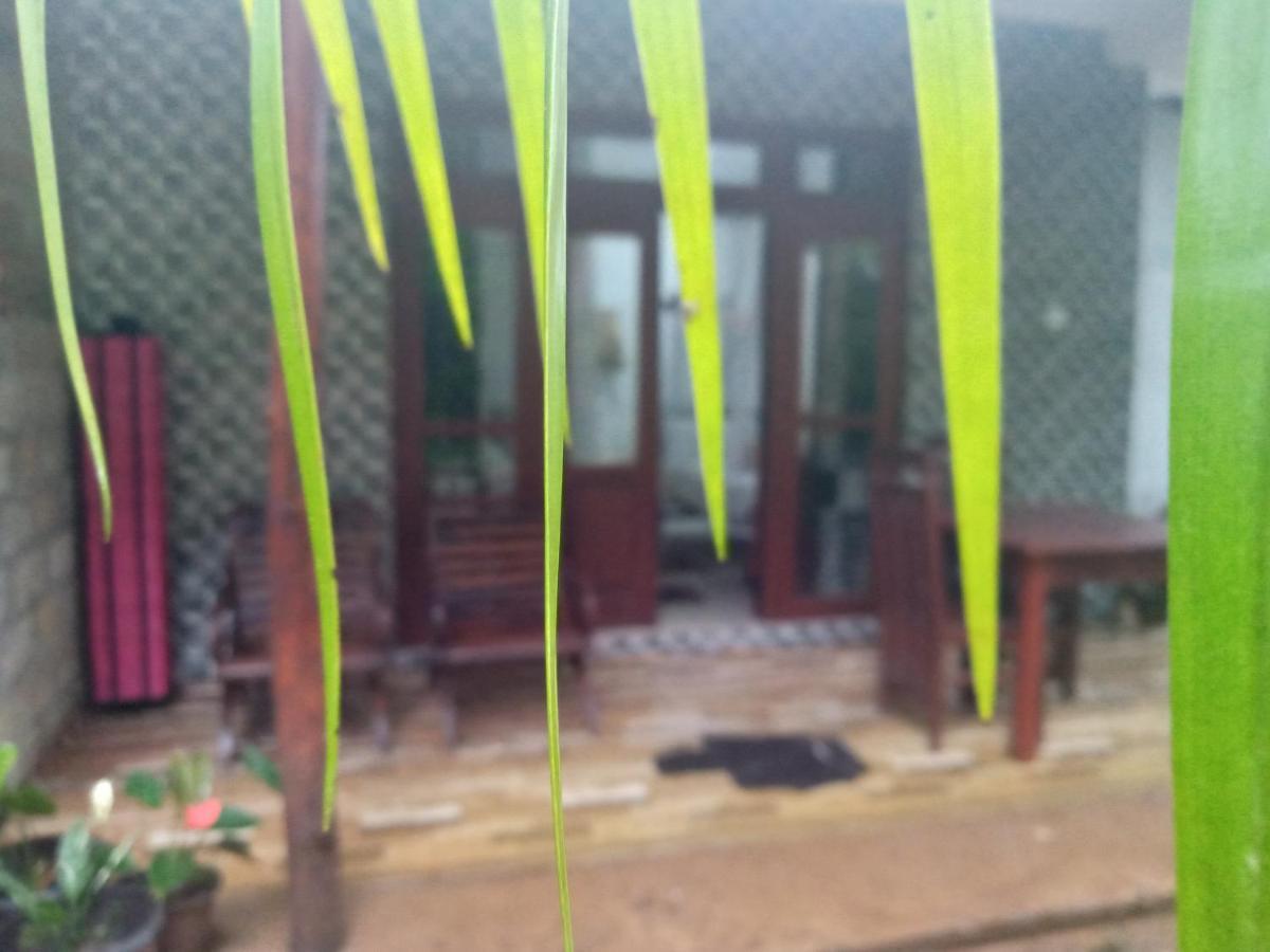 Supipi Homestay إيلا المظهر الخارجي الصورة